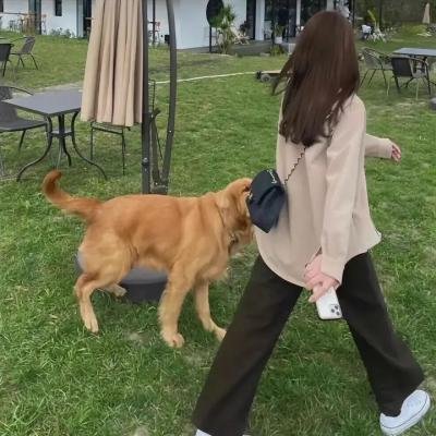 器灵第一季